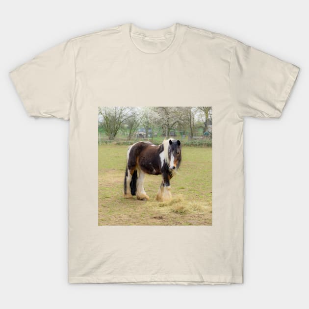 Horse love T-Shirt by MarionsArt